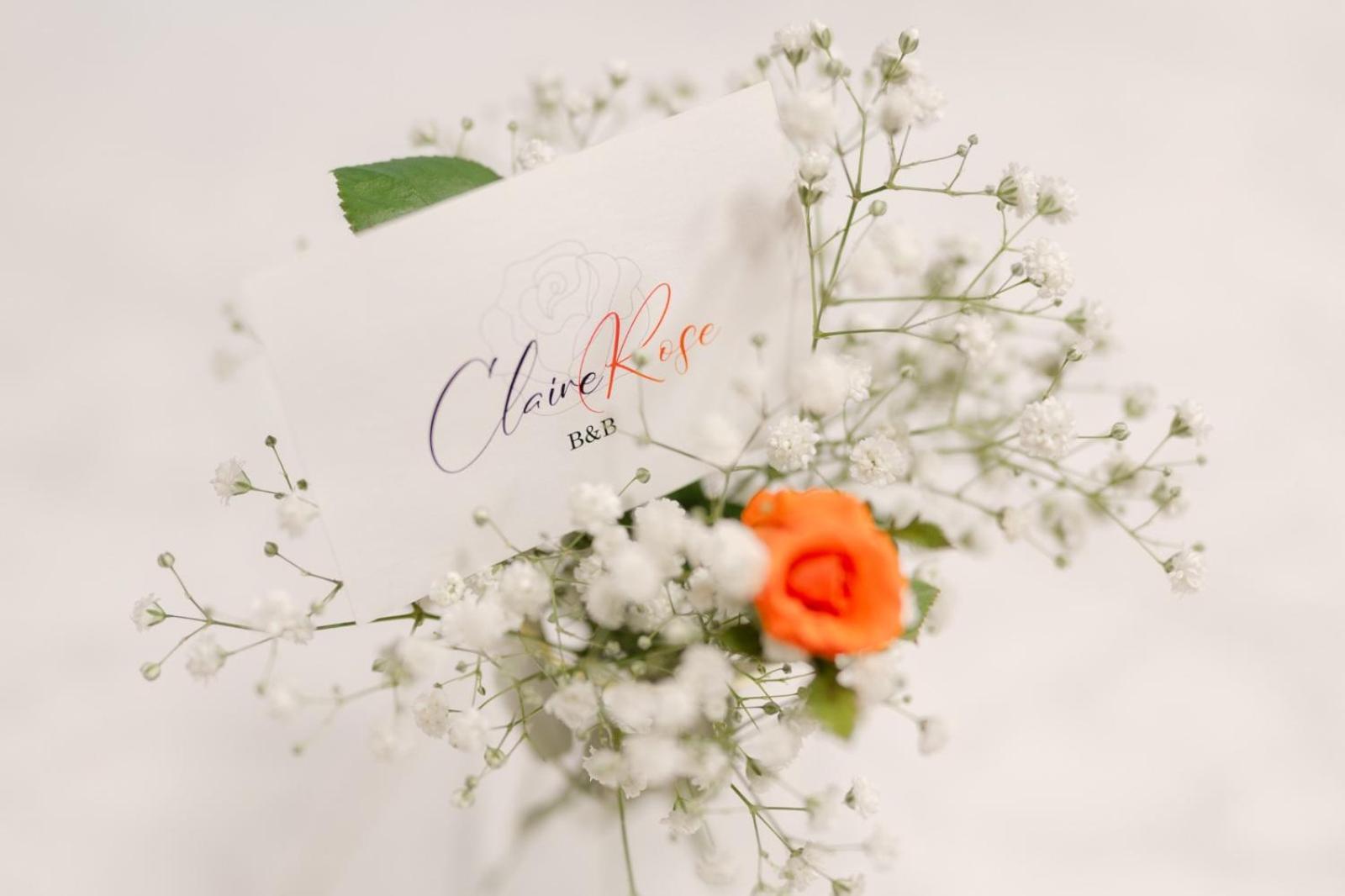 Claire Rose B&B 마테라 외부 사진